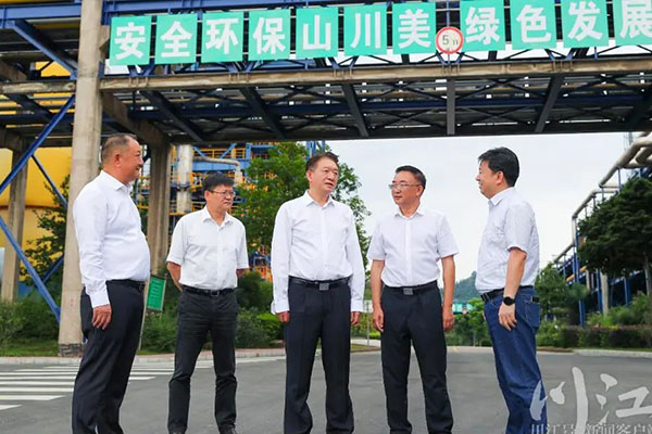 杨林兴：把新型工业化摆在更加突出的位置，让“四化同步”发展的主引擎作用更加凸显